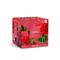 Пионы Салют купить в Москве | salutsklad.ru