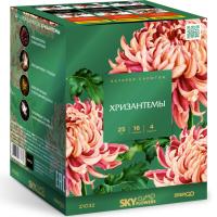 Хризантемы Фейерверк купить в Москве | salutsklad.ru