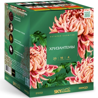 Хризантемы Фейерверк купить в Москве | salutsklad.ru