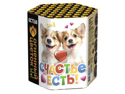 Счастье есть! Салют купить в Москве | salutsklad.ru